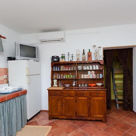 Villa House Nado à Pulgarija Cepic Extérieur photo